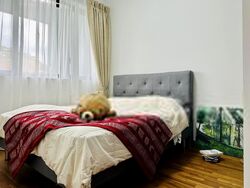 Mayfair Gardens (D21), Condominium #399483461